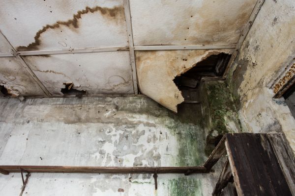 Water Damage Service in Poway