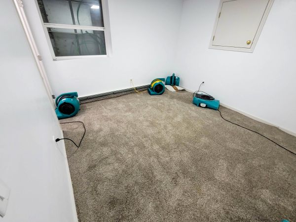 Flood Restoration Service in Poway